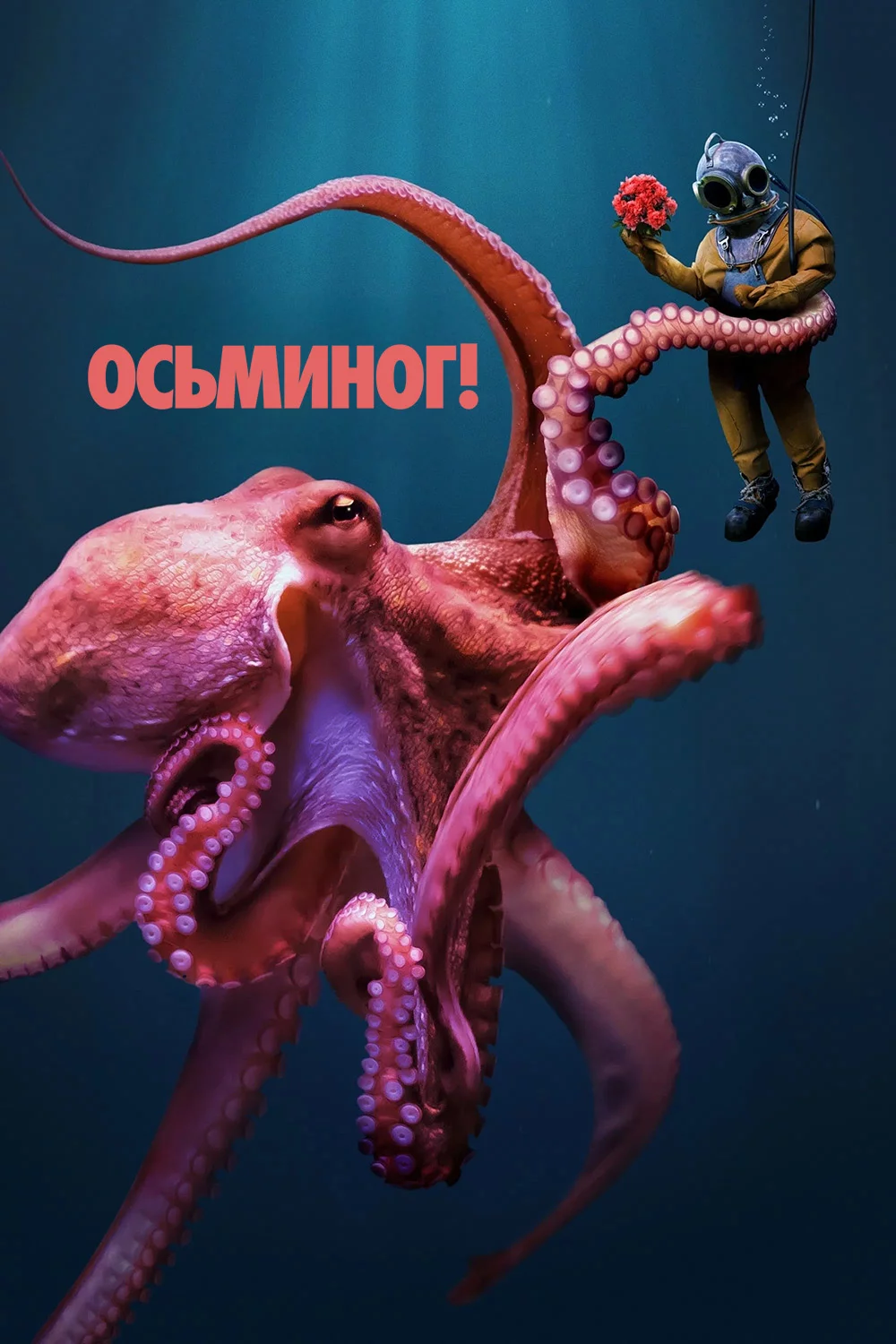 Осьминог!
